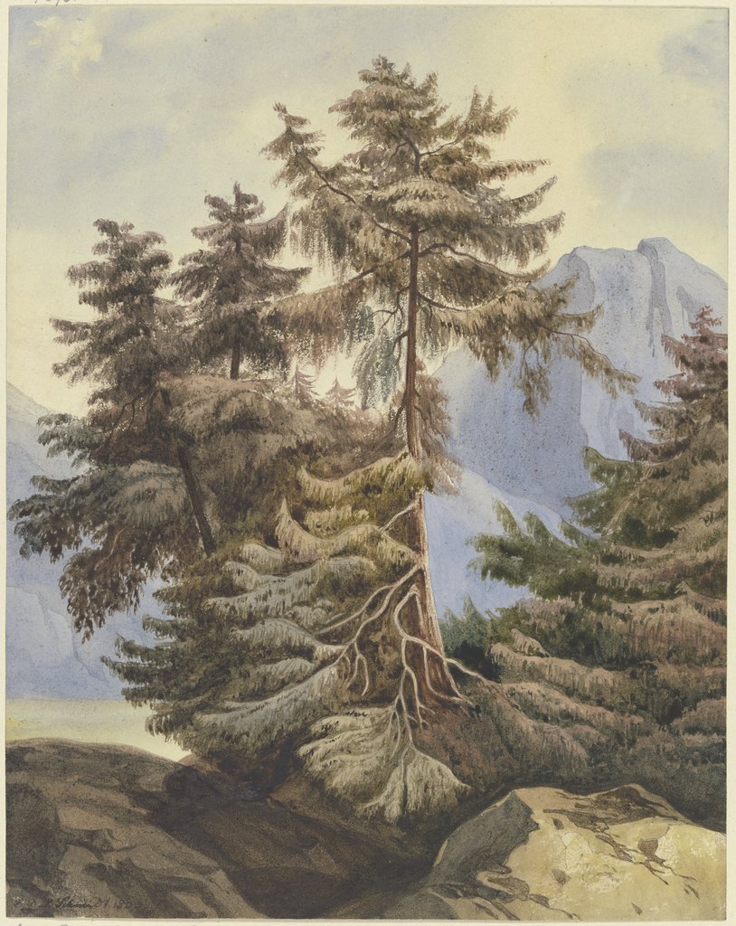 Three fir trees in the mountains, Ludwig Daniel Philipp Schmidt