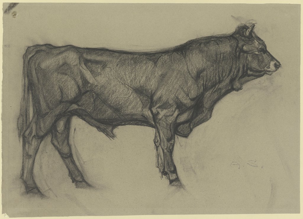 Stier nach rechts stehend, Alfred Schnaars