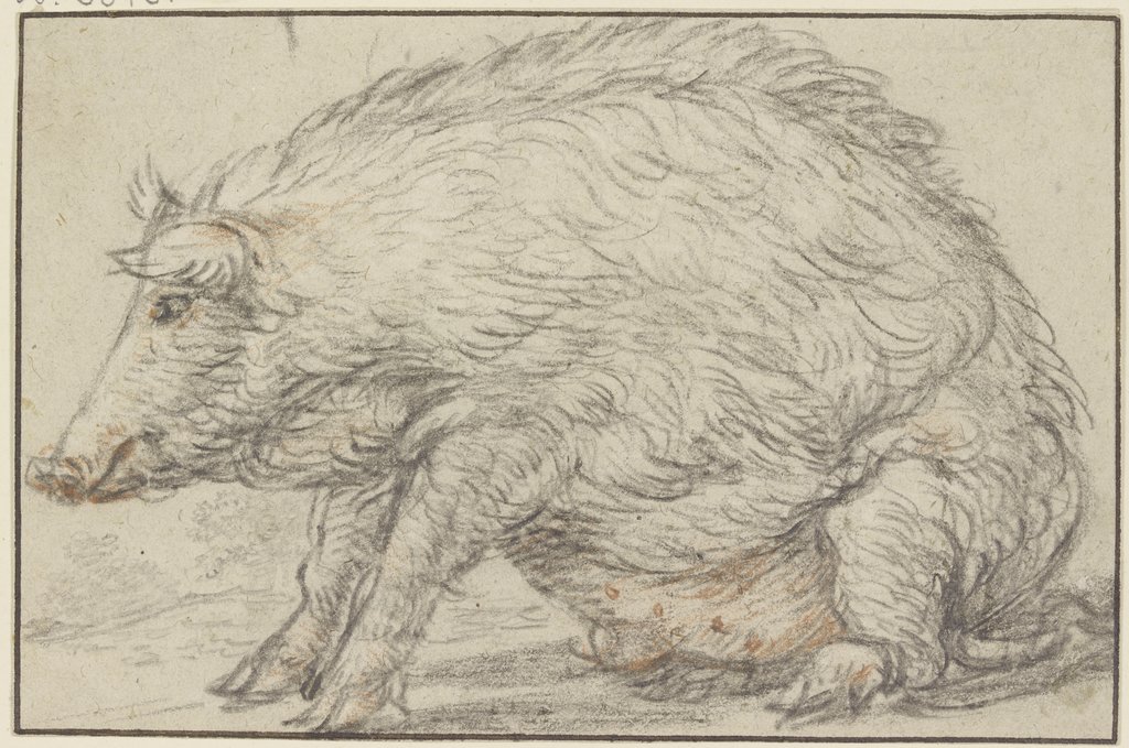 Mutterschwein, Herman Saftleven III;   ?