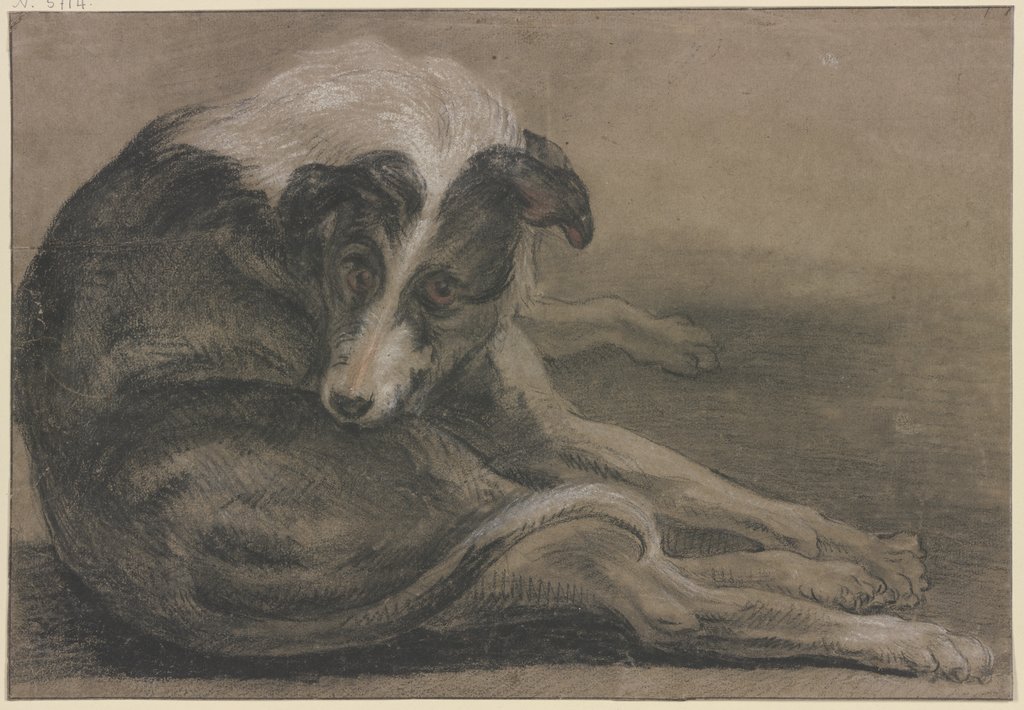 Greyhound, lying, Frans Snyders