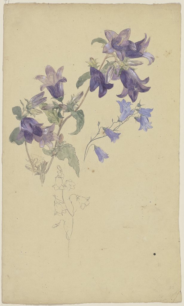 Bluebells, Wilhelm Steinhausen