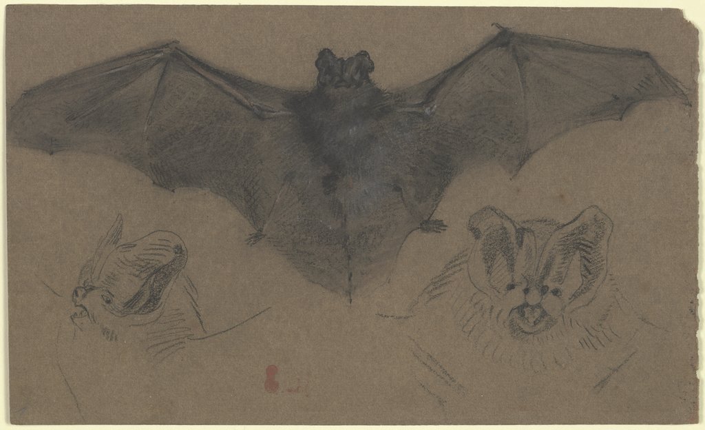 Bat, Eugène Delacroix