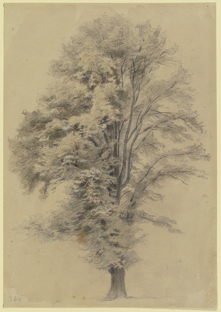 Large tree, Jakob Fürchtegott Dielmann