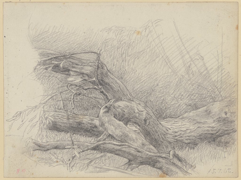 Fallen over tree trunk, Louis Eysen