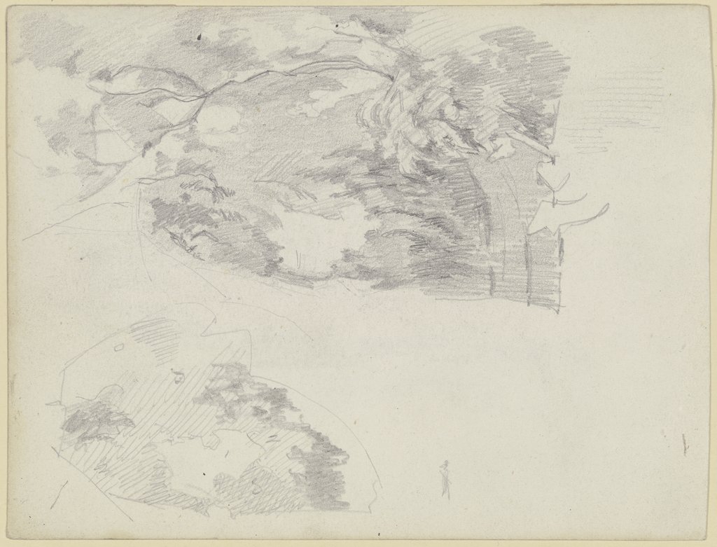 Tree sketch, Louis Eysen