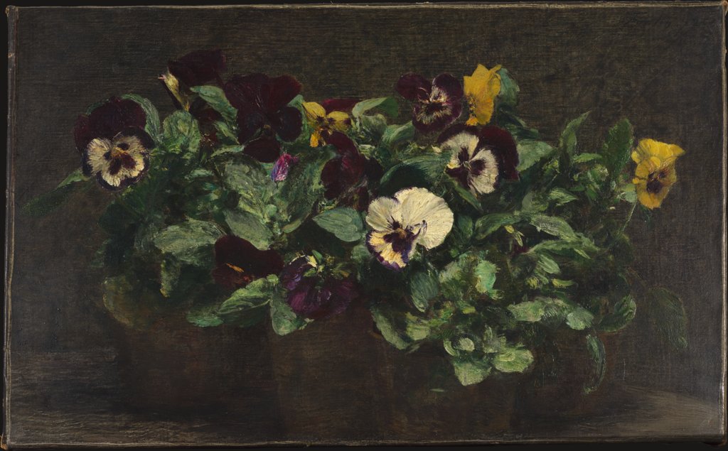 Still Life with Pansies, Henri Fantin-Latour