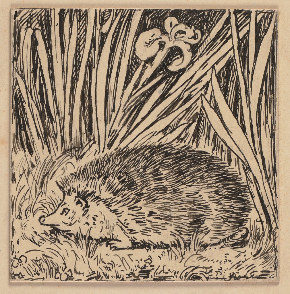 Drawing for the primer: Hedgehog, Hans Thoma