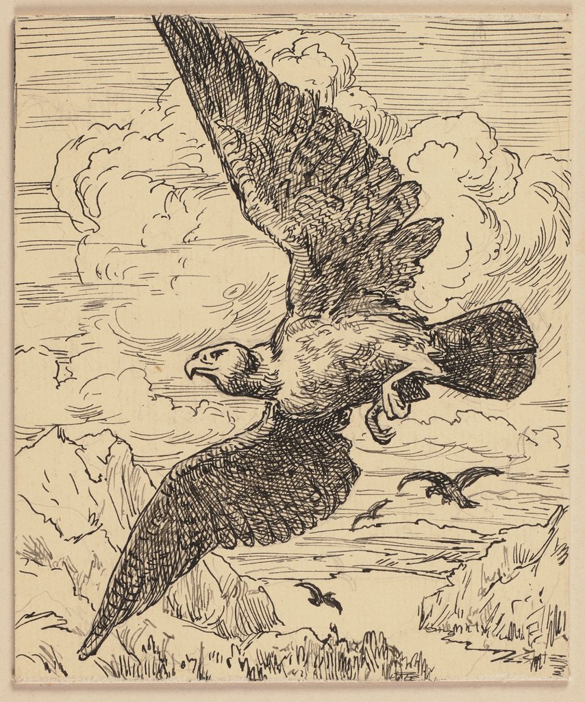 Zeichnung zur Fibel: Vogel, Hans Thoma