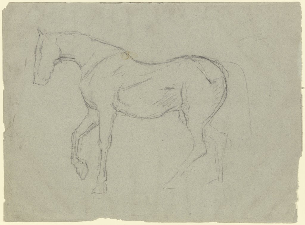 Horse study, Hans Thoma