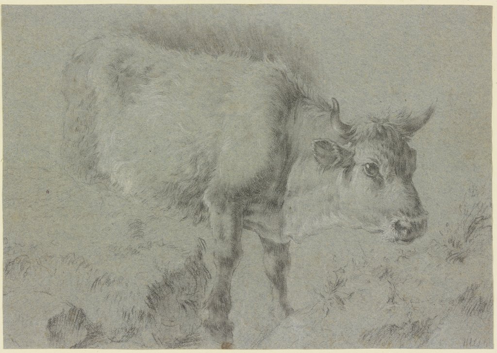 Cow to the left, Francesco Londonio