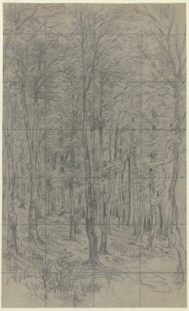 Saplings on a slope, Jakob Maurer