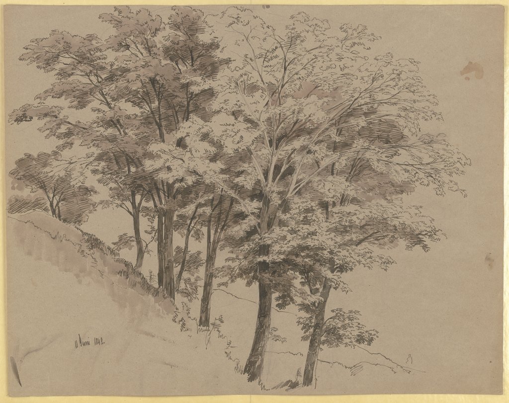 Trees on a slope, Carl Theodor Reiffenstein