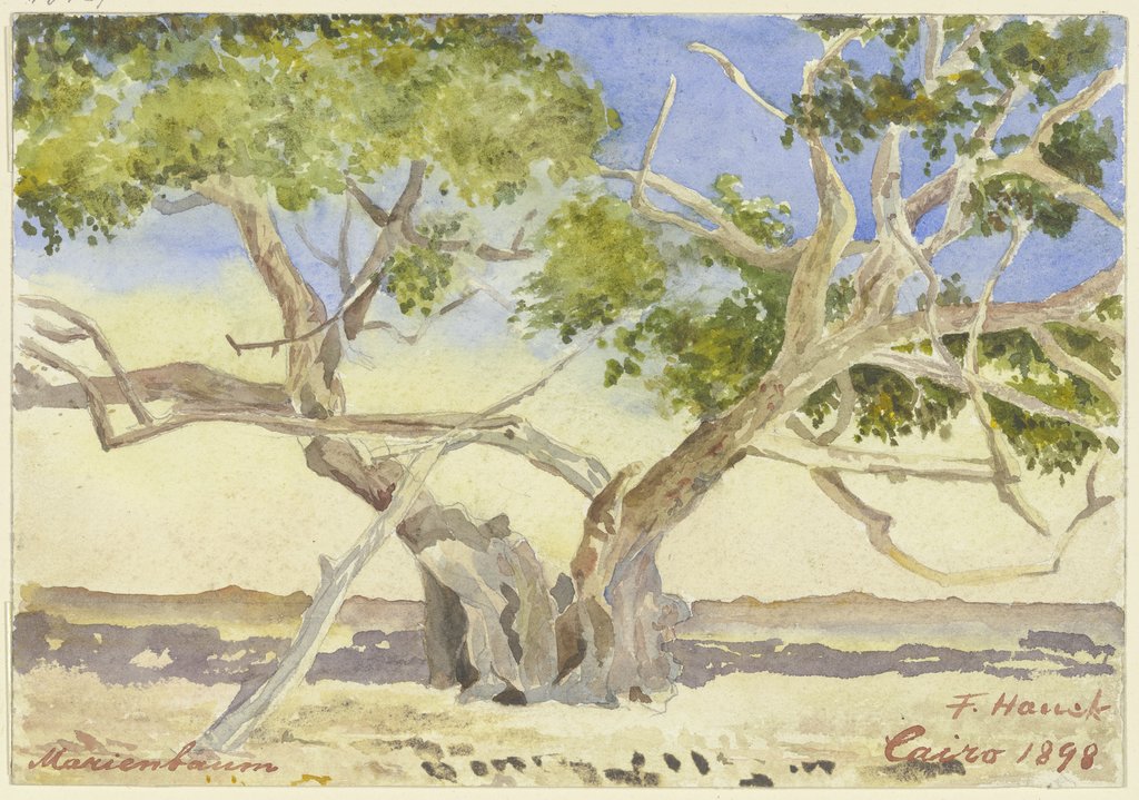 Mary’s tree near Cairo, Fritz Hauck