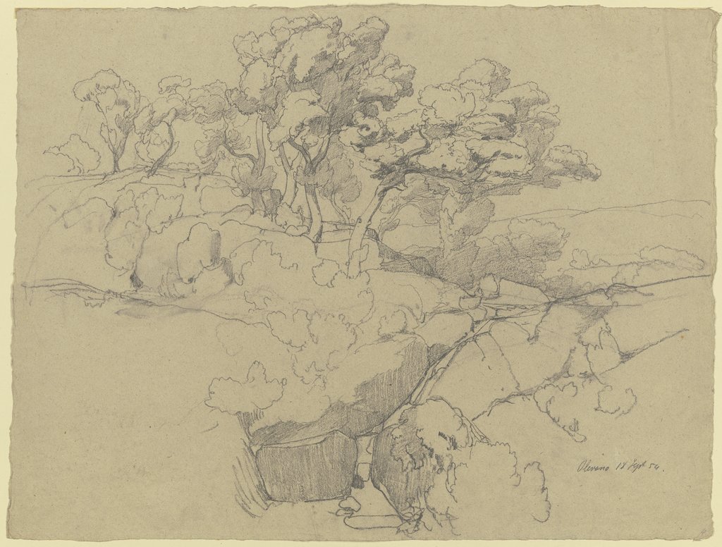 Oaks near Olevano, Friedrich Karl Hausmann