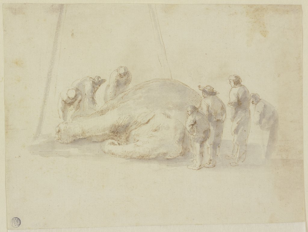 Dead elephant and seven onlookers, Stefano della Bella