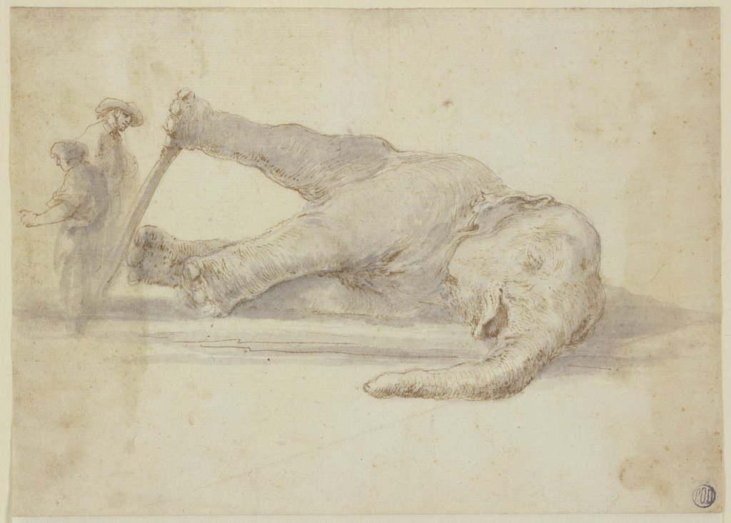 Dead elephant and two figures, Stefano della Bella