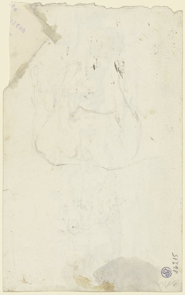 Study sheet: cow, Johann Nepomuk Rauch