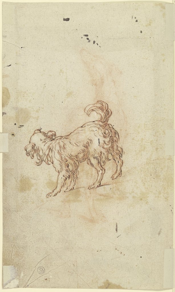 Study sheet: two dogs, Abraham Bloemaert