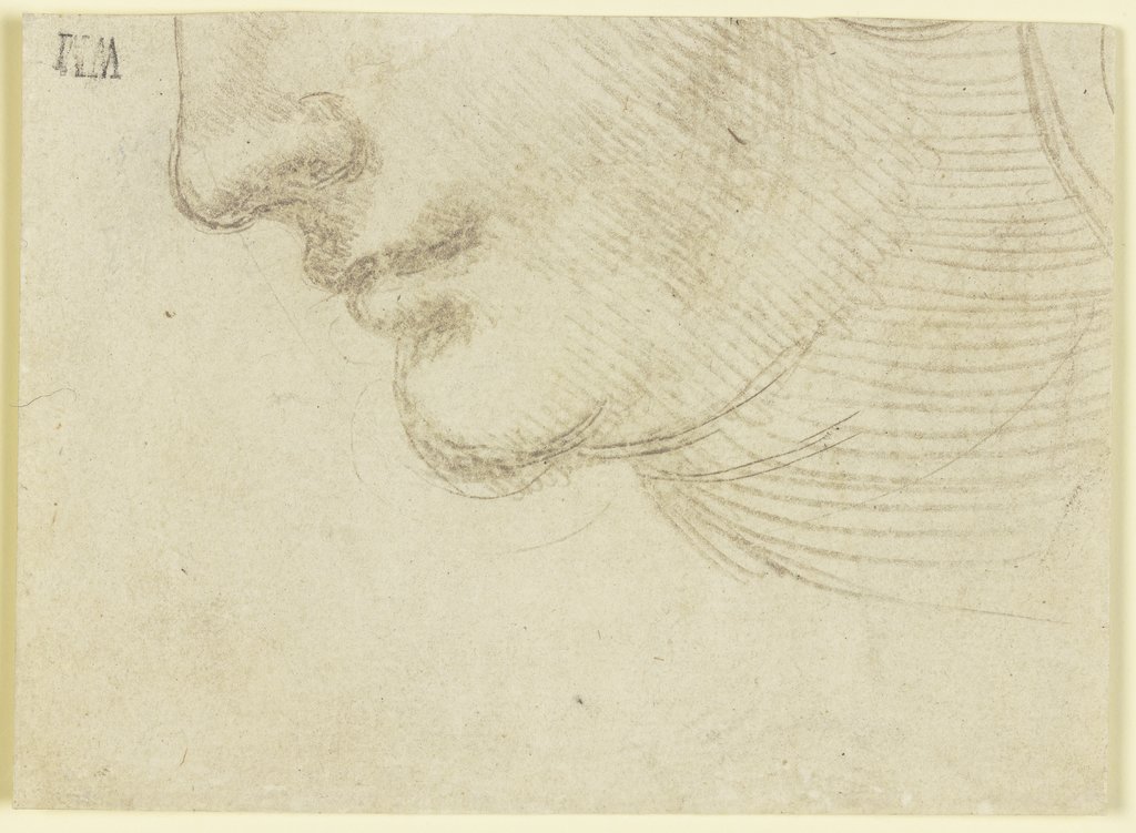 Study for the head of a woman, Unknown, 16th century, German, 15th century