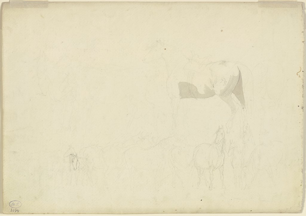 Study sheet: Horses, Johann Erdmann Gottlieb Prestel