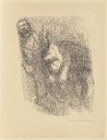 Tod im Wasser, Käthe Kollwitz