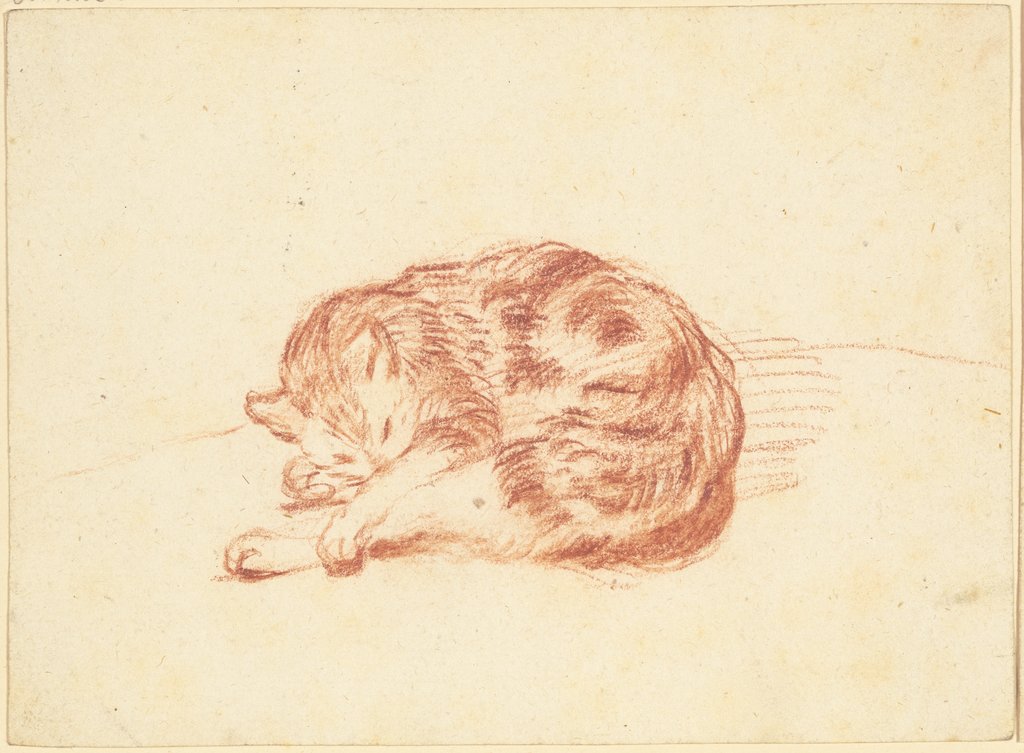 Schlafende Katze, Friedrich Wilhelm Hirt