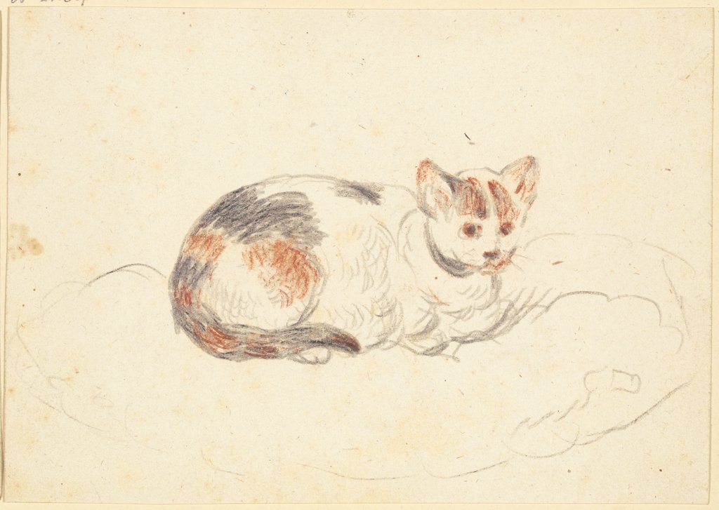 Lying cat, Friedrich Wilhelm Hirt