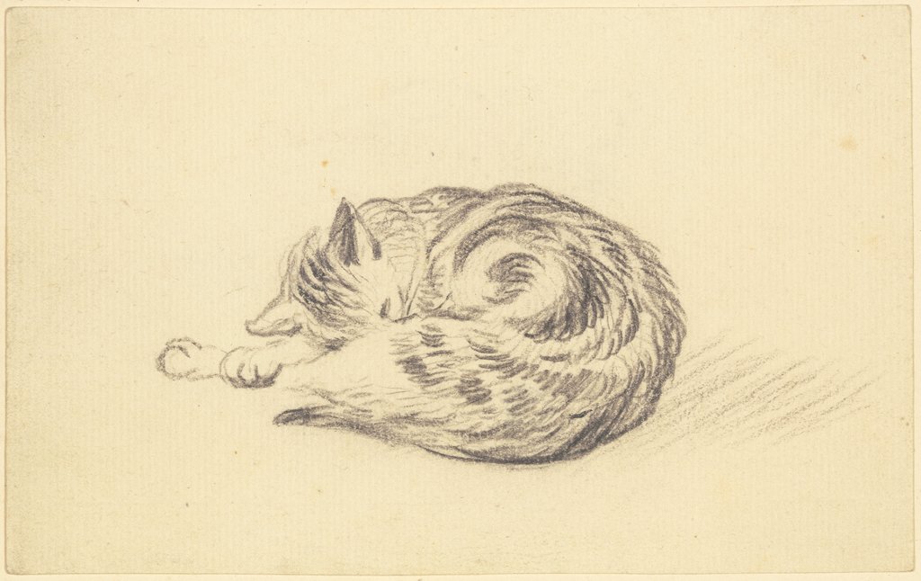 Schlafende Katze, Friedrich Wilhelm Hirt