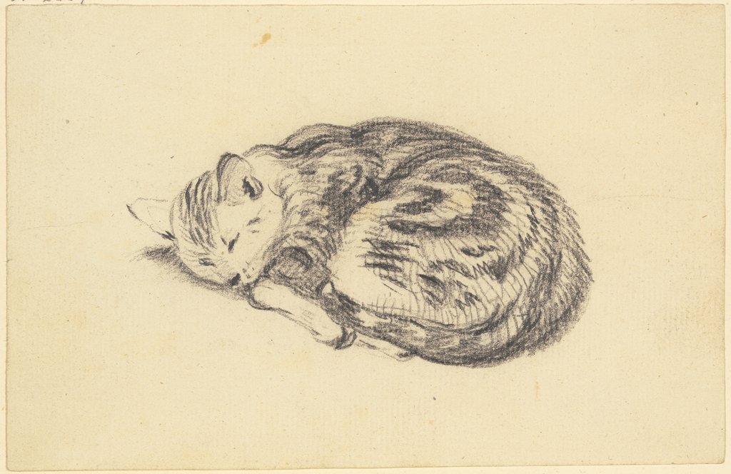 Schlafende Katze, Friedrich Wilhelm Hirt