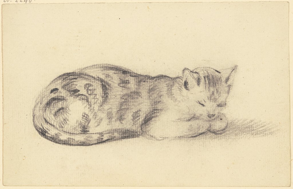 Sleeping cat, Friedrich Wilhelm Hirt