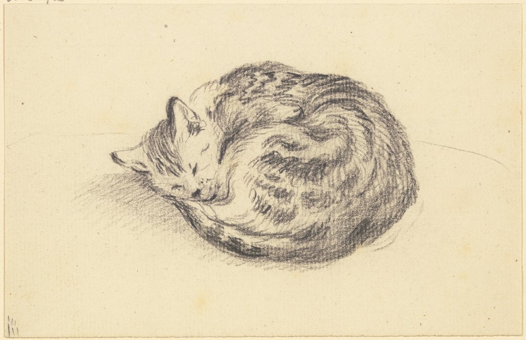 Schlafende Katze, Friedrich Wilhelm Hirt