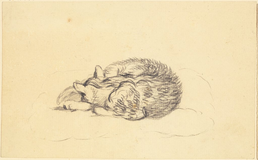 Schlafende Katze, Friedrich Wilhelm Hirt