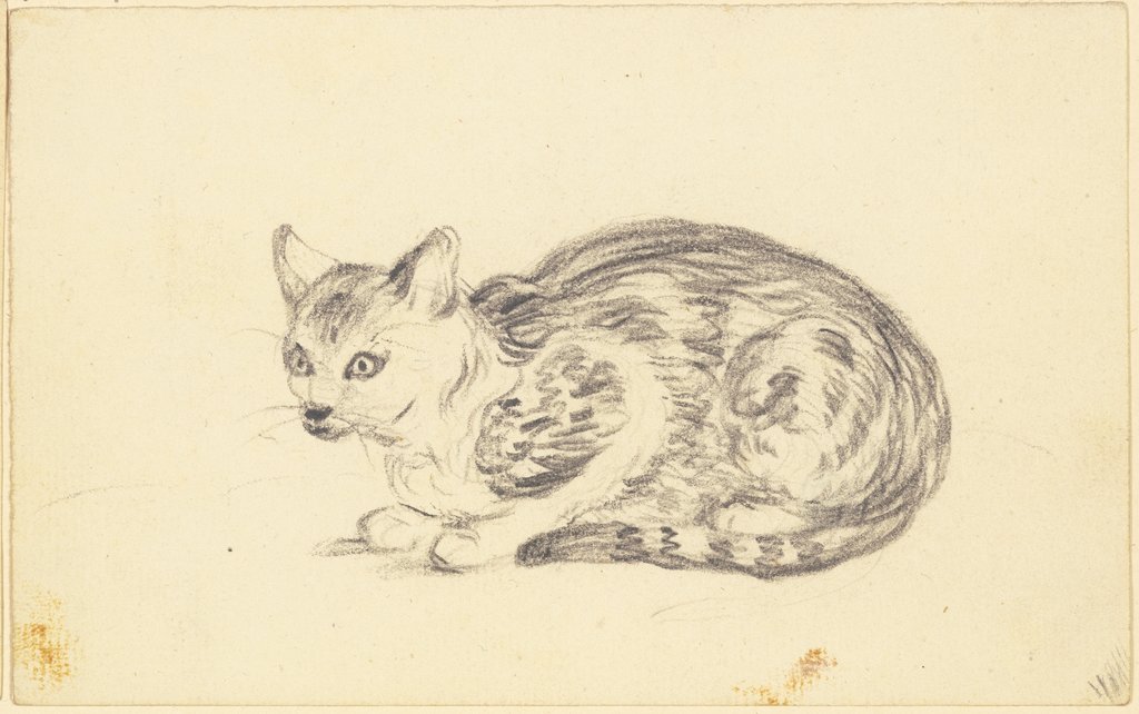 Liegende Katze, Friedrich Wilhelm Hirt