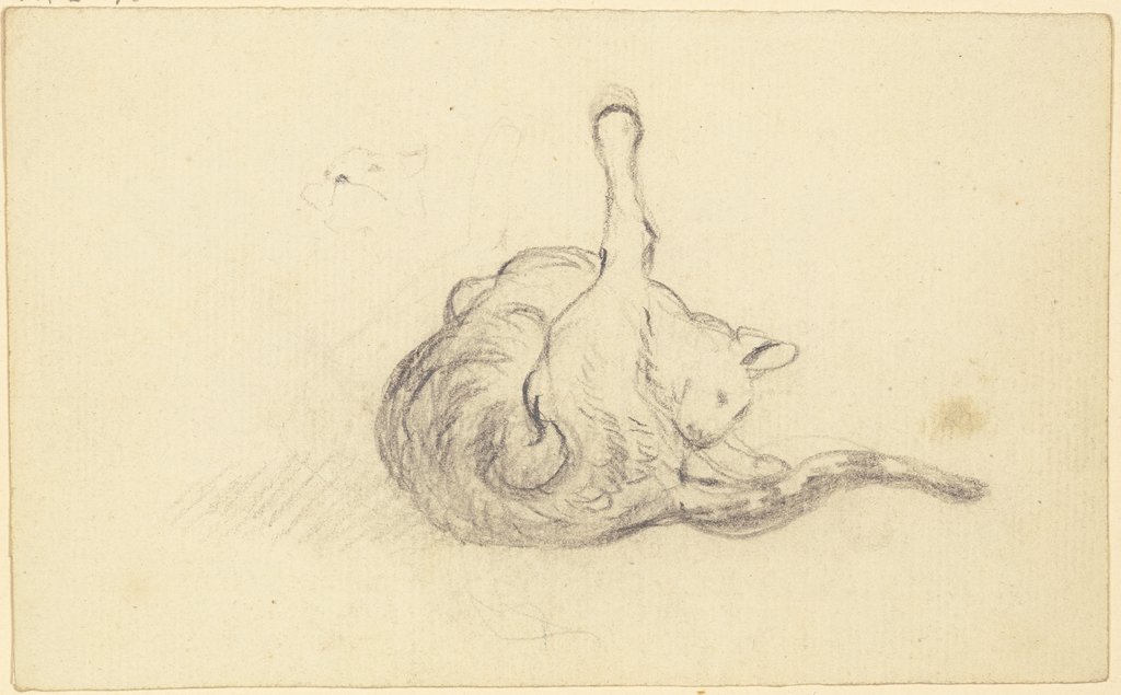 Grooming cat, Friedrich Wilhelm Hirt