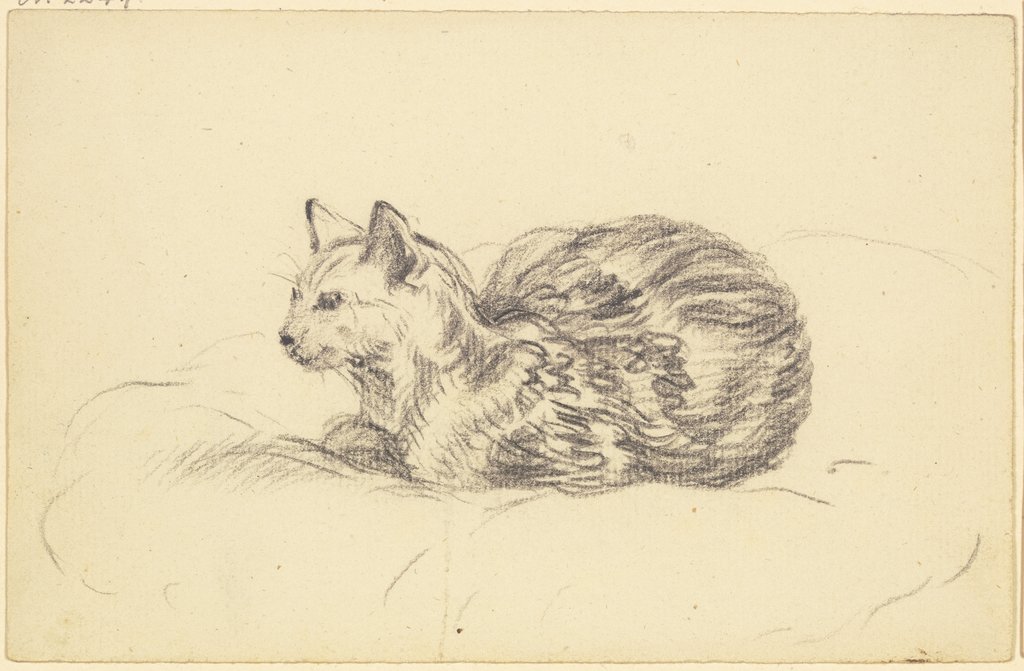 Liegende Katze, Friedrich Wilhelm Hirt