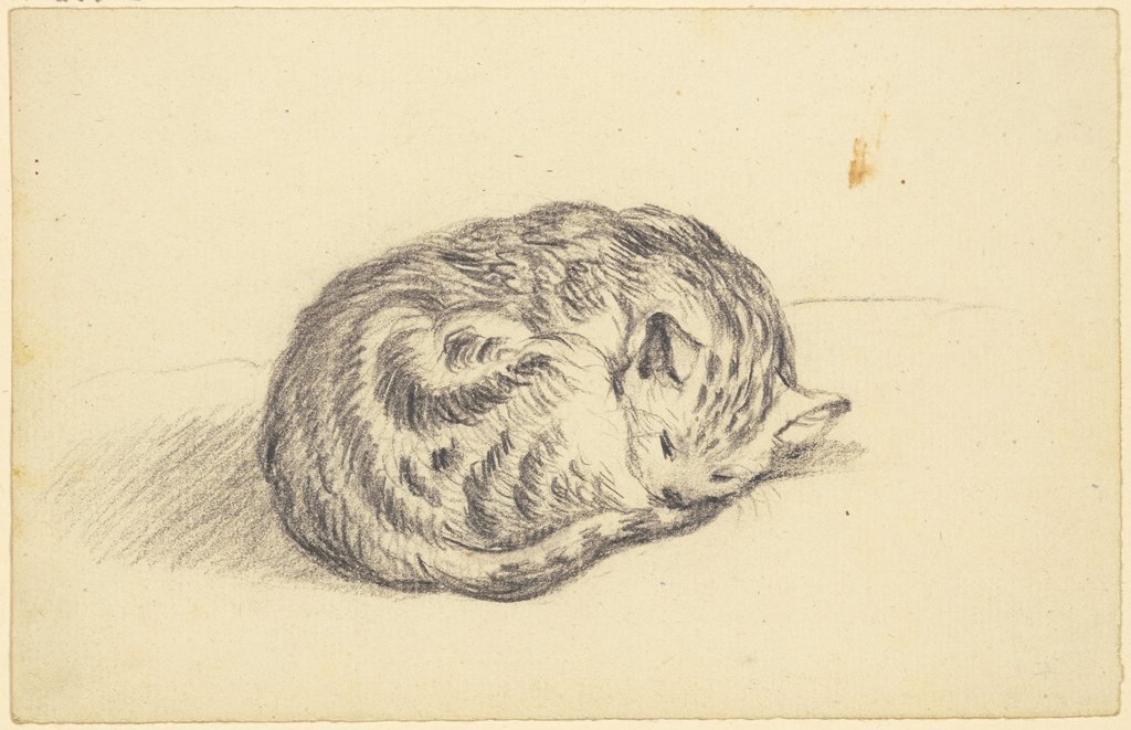 Schlafende Katze, Friedrich Wilhelm Hirt