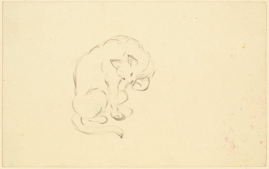 Grooming cat, Friedrich Wilhelm Hirt