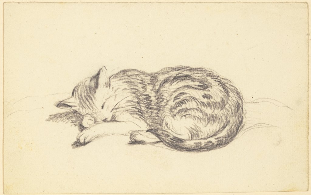 Schlafende Katze, Friedrich Wilhelm Hirt