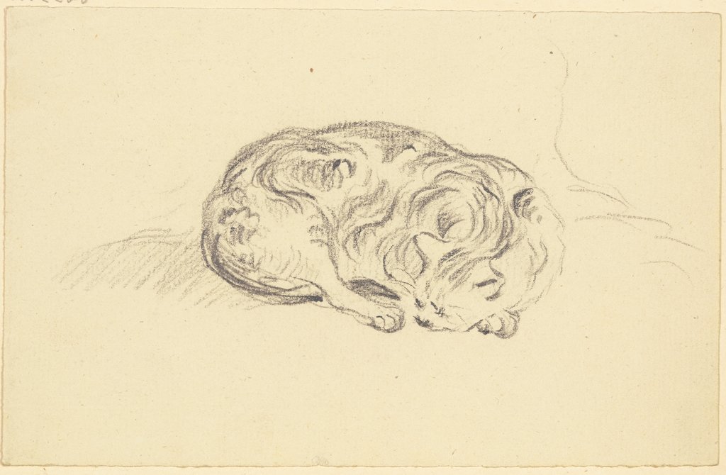 Schlafende Katze, Friedrich Wilhelm Hirt