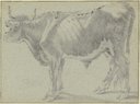 Ochse nach links schauend, Francesco Londonio