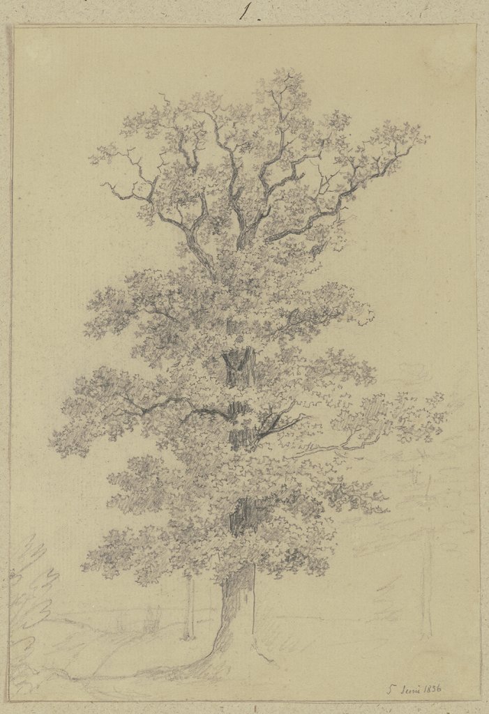 Baum, Carl Theodor Reiffenstein