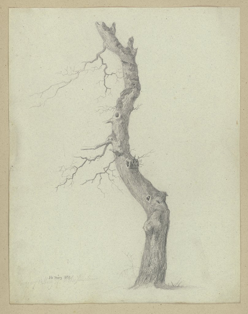 Leafless tree trunk, Carl Theodor Reiffenstein