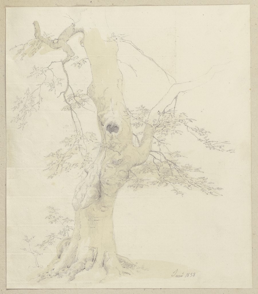 Baum, Carl Theodor Reiffenstein