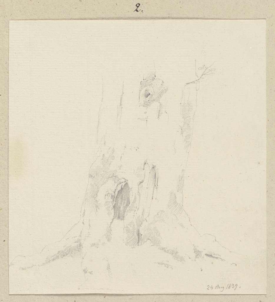 Tree trunk, Carl Theodor Reiffenstein