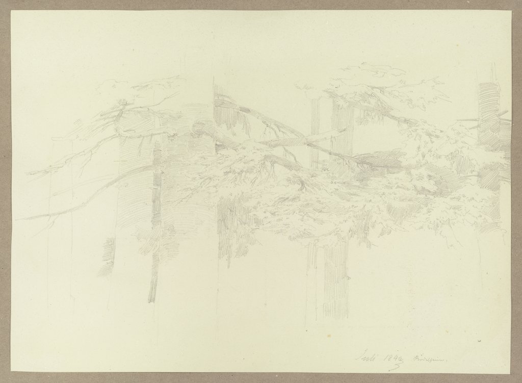 Trees near Rödelheim, Carl Theodor Reiffenstein