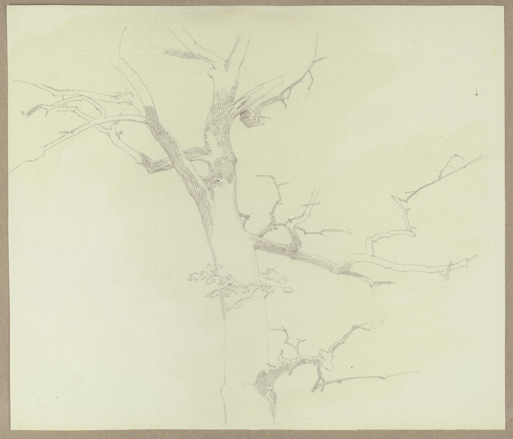 Leafless tree, Carl Theodor Reiffenstein