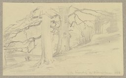 Der Jägersteig bei Willingshausen, Carl Theodor Reiffenstein