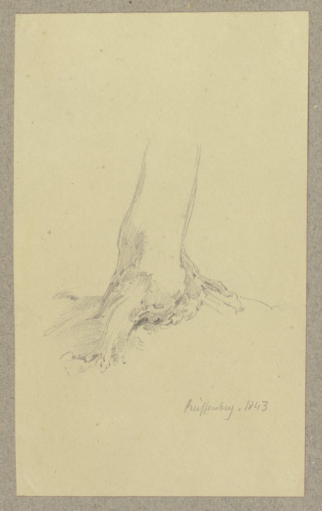 Tree near Reifenberg, Carl Theodor Reiffenstein