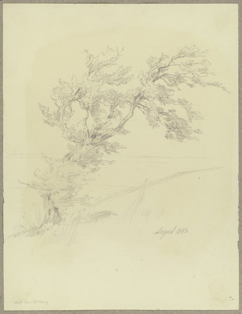 Baum auf dem Feldberg, Carl Theodor Reiffenstein