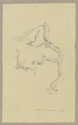 Abgestorbener Baum bei Willingshausen, Carl Theodor Reiffenstein